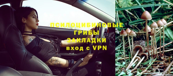 ешки Балахна