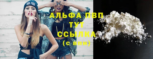 трава Сатка