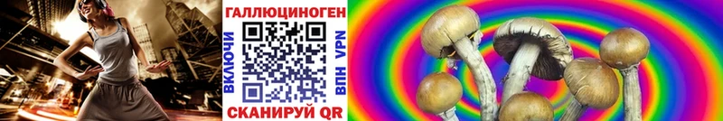 Галлюциногенные грибы GOLDEN TEACHER  OMG зеркало  Кудымкар 